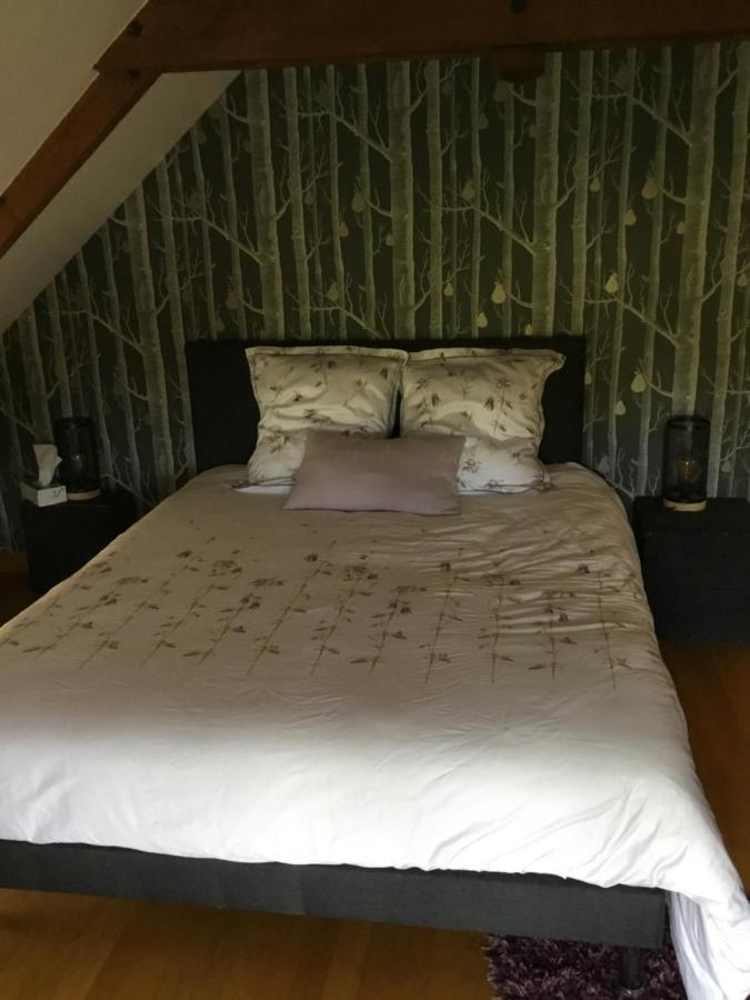 Chambre D Hote Janze Exterior photo